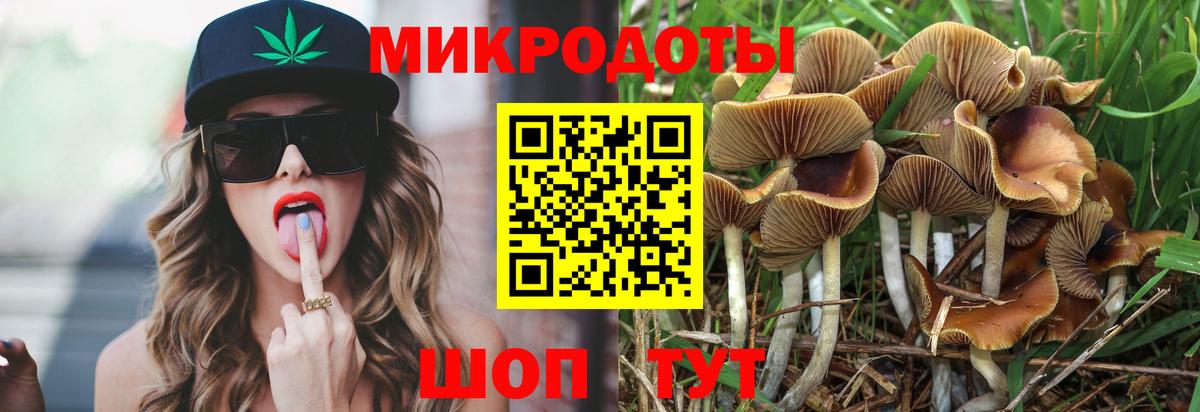 Псилоцибиновые грибы мухоморы Комсомольск-на-Амуре