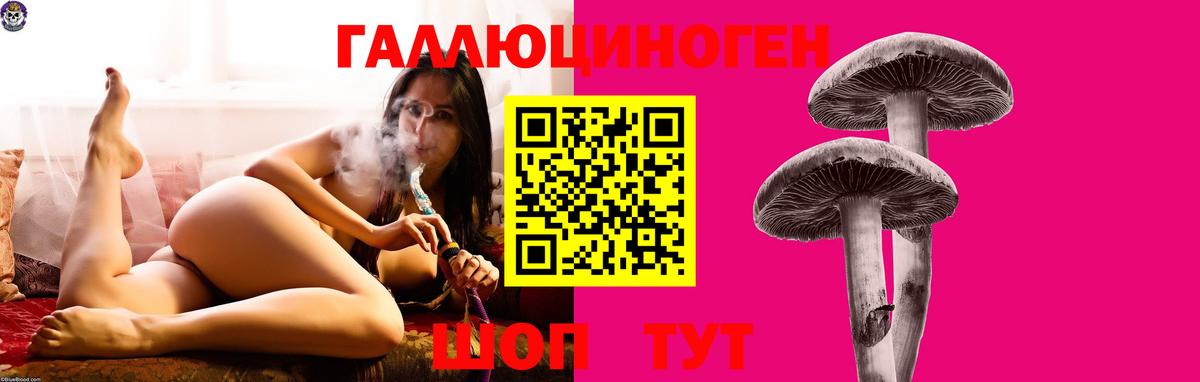 Галлюциногенные грибы MAGIC MUSHROOMS  Галлюциногенные грибы Cubensis  Комсомольск-на-Амуре  Вход с VPN 